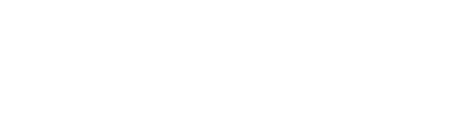 NI.CA. S.R.L.-logo-white